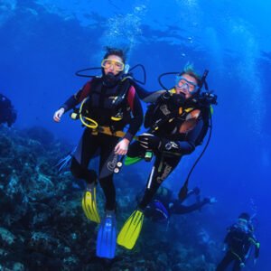 Escola Balão Vermelho - Biologia Marinha - Angra dos Reis - 25 a 29 de maio de 2026