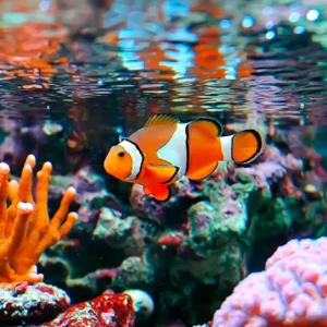 Colégio CEM - Aquário Sion e Parque das Borboletas - 17 de abril de 2026 - TARDE (2º ano E.F.)