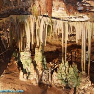 Colégio Maximus - Gruta Rei do Mato - 16 de abril de 2026 (4º ano)