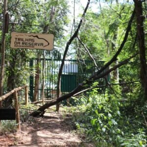 Colégio ICJ - Trilhas da Reserva - 28 de maio de 2026 (3º ano - manhã)